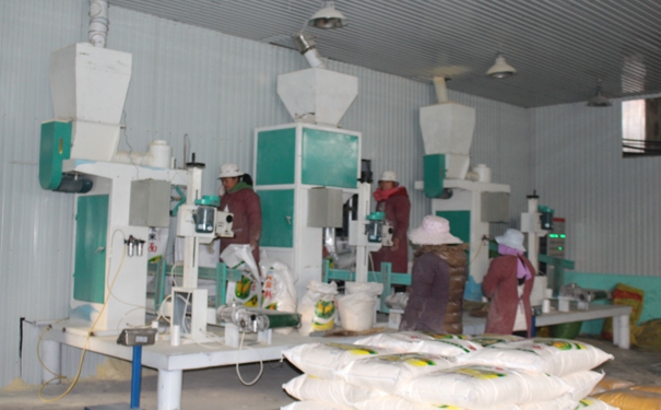 日產(chǎn)30噸玉米加工設(shè)備多少錢(qián)?點(diǎn)擊在線(xiàn)咨詢(xún)，即刻獲取優(yōu)惠報(bào)價(jià)